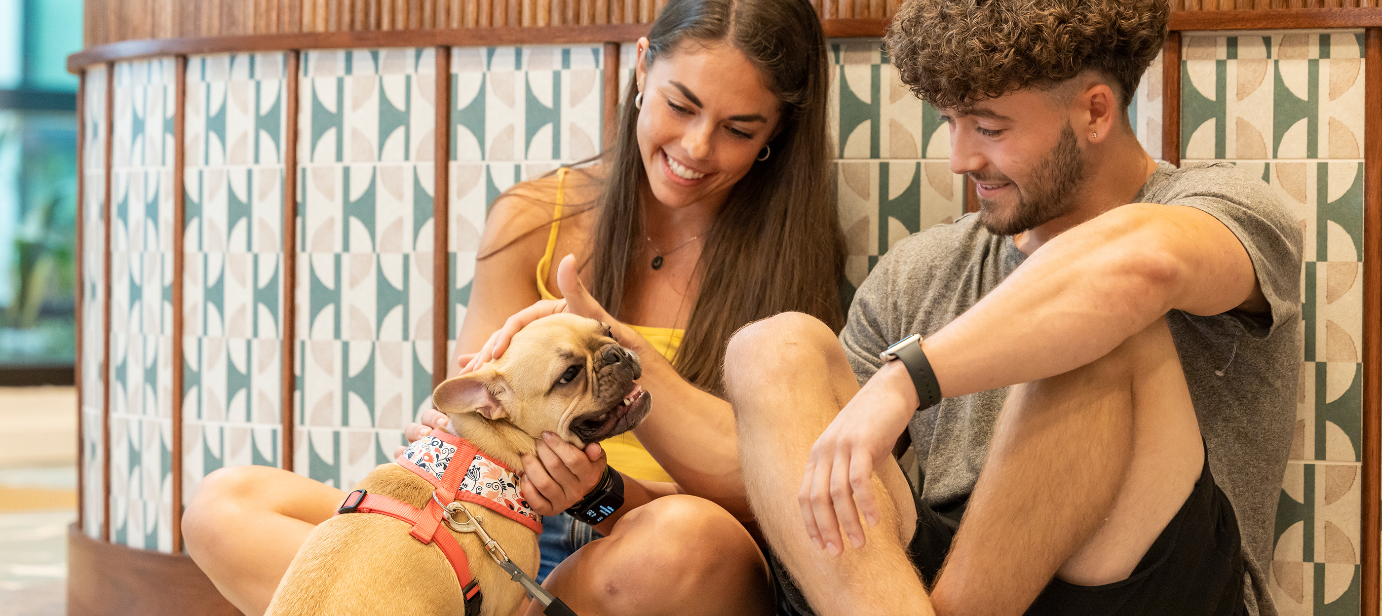 Two people petting a small dog